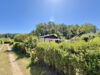 Reserviert! Kleiner Bungalow zum Verlieben – voll ausgestattet mit Keller, Pool und Erholungsgrundstück in Eigentum in Rheinsberg - Grundstücksansicht