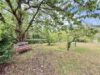 Charmantes Einfamilienhaus in Holzbauweise, Vollkeller, großzügiges Grundstück und viel Platz! - Gartenansicht