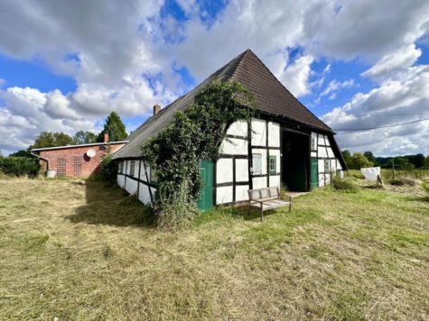 Bauernhaus mit Stallung und Wiesen, 23936 Stepenitztal, Bauernhof