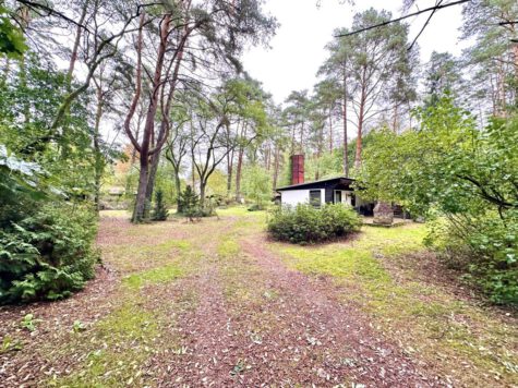 Wochenendbungalow in direkter Waldlage!, 16775 Grieben, Bungalow