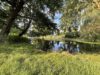 Baugrundstück in ruhiger Lage! - östlich angrenzender Teich