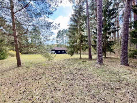 Grundstück in sehr schöner Wald – Lage, 16244 Groß Schönebeck, Wohnen