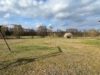 Der unverbaute Blick in die Natur - ein Traum 
in Seilershof - 50 Min von Berlin entfernt - Blick über angrenzendes Grundstück