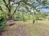 Gemütliches Blockbohlenhaus in Oranienburg-Schmachtenhagen – massiv, modernisiert & naturnah - Gartenansicht