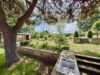 Einfamilienhaus im Bungalowstil, Vollkeller und großem Grundstück - Gartenansicht