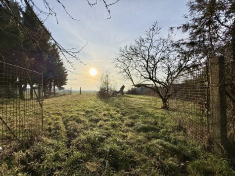 Doppelhaushälfte mit großen Grundstück und einem Herrlich blick aufs Feld!, 16775 Gransee, Doppelhaushälfte