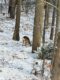 Bezugsfrei ab sofort - komplett möbliert in Oranienburg! - Naturimpression